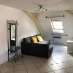 Image d'un coquet f2 avec mobilier centre historique à 520€ à mulhouse (68100)